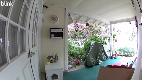 NORTH_VIDEO_DOOR_BELL_2023-05-05T14_19_38-0400.mp4
