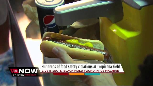 Tropicana Field worst in MLB for food safety