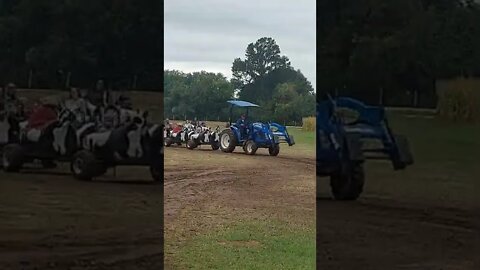 Tractor Cow Ride Pumpkin Patch Farm
