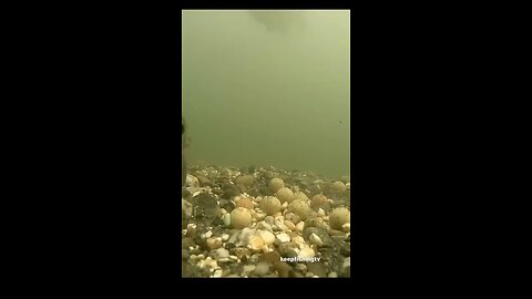 #best wanderwater #fishing