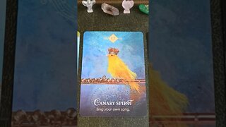 Thursday 15th September 2022 #tarot #oraclecards #cardoftheday