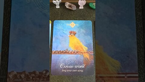 Thursday 15th September 2022 #tarot #oraclecards #cardoftheday