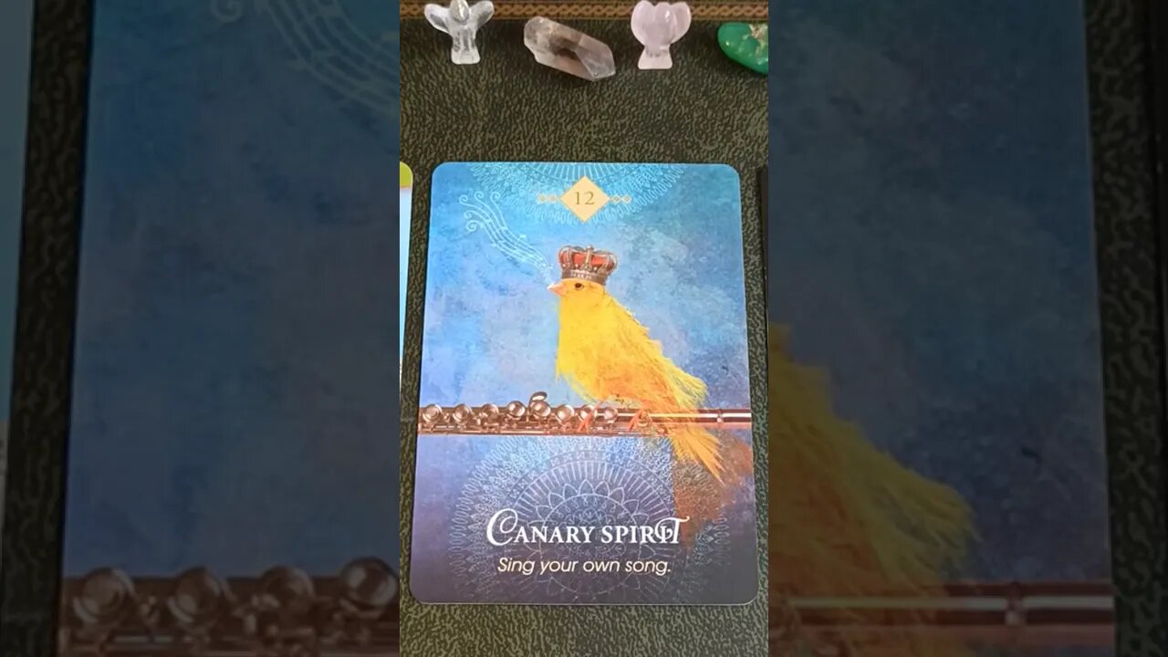 Thursday 15th September 2022 #tarot #oraclecards #cardoftheday