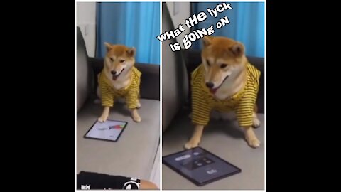 Don't disturb me while I'm playing the game🤨