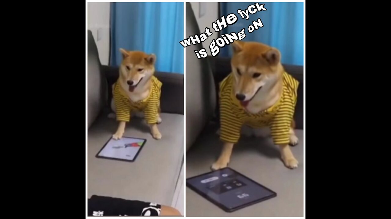 Don't disturb me while I'm playing the game🤨