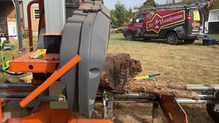 The Norwood mill eating more black walnut