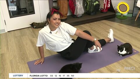 Yoga with feline friends at the Cattyshack Cafe in Fort Myers