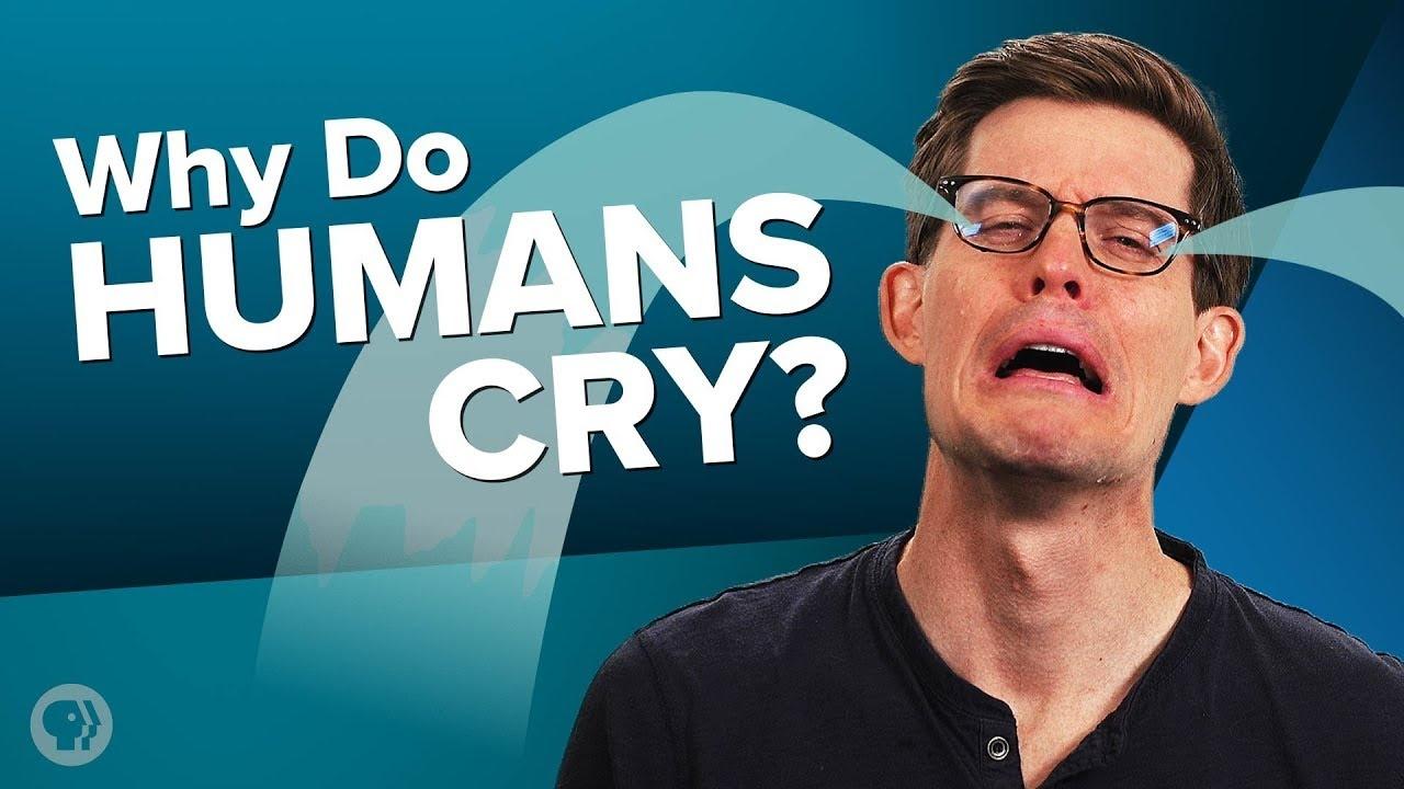 The Only Animal That Weeps