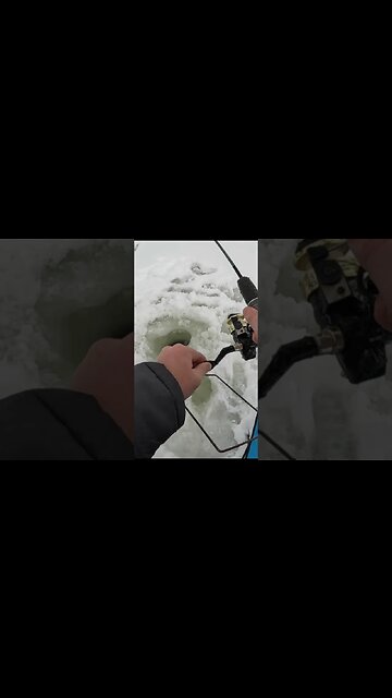Close Call on the Ice