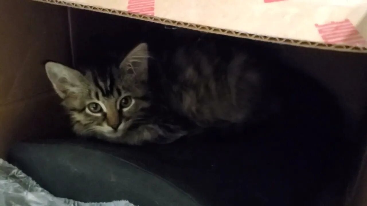 Hideyhole