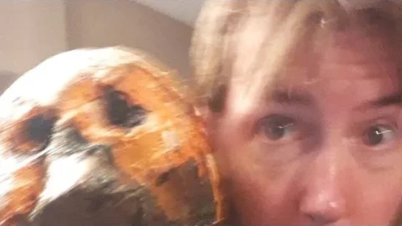 CORPSED SKULL GIVEAWAY and CHILL Stream!!!