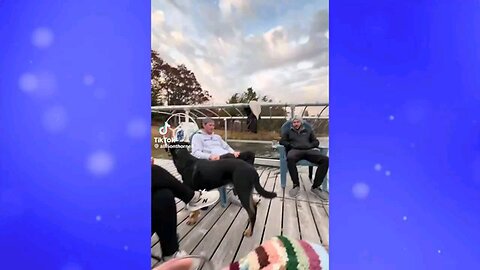 funny try not to laugh videos