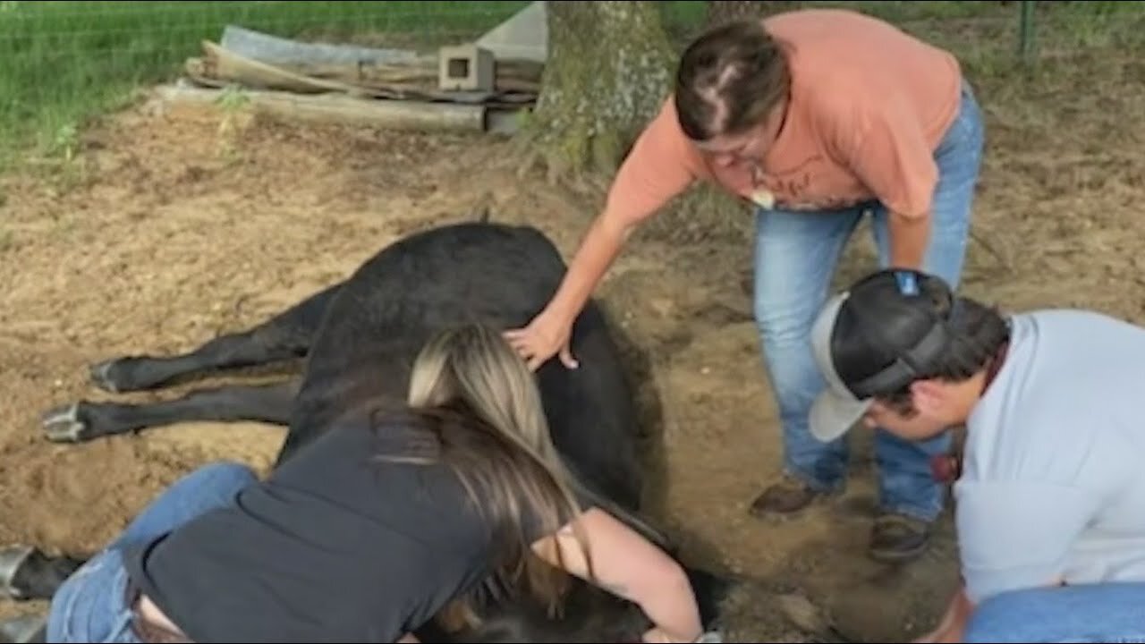 Texas ranchers taking on EPA and 'forever chemicals' | NewsNation Now