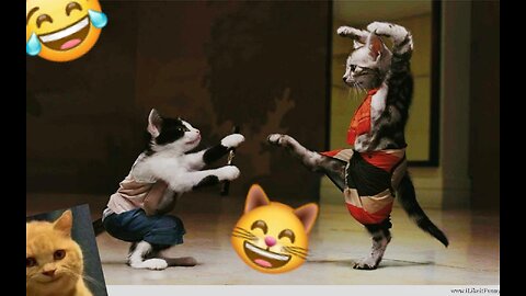 Funniest Cats And Dogs Videos 😁 (26)