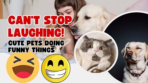 How Funny Dogs and Cats Videos Broke the Internet