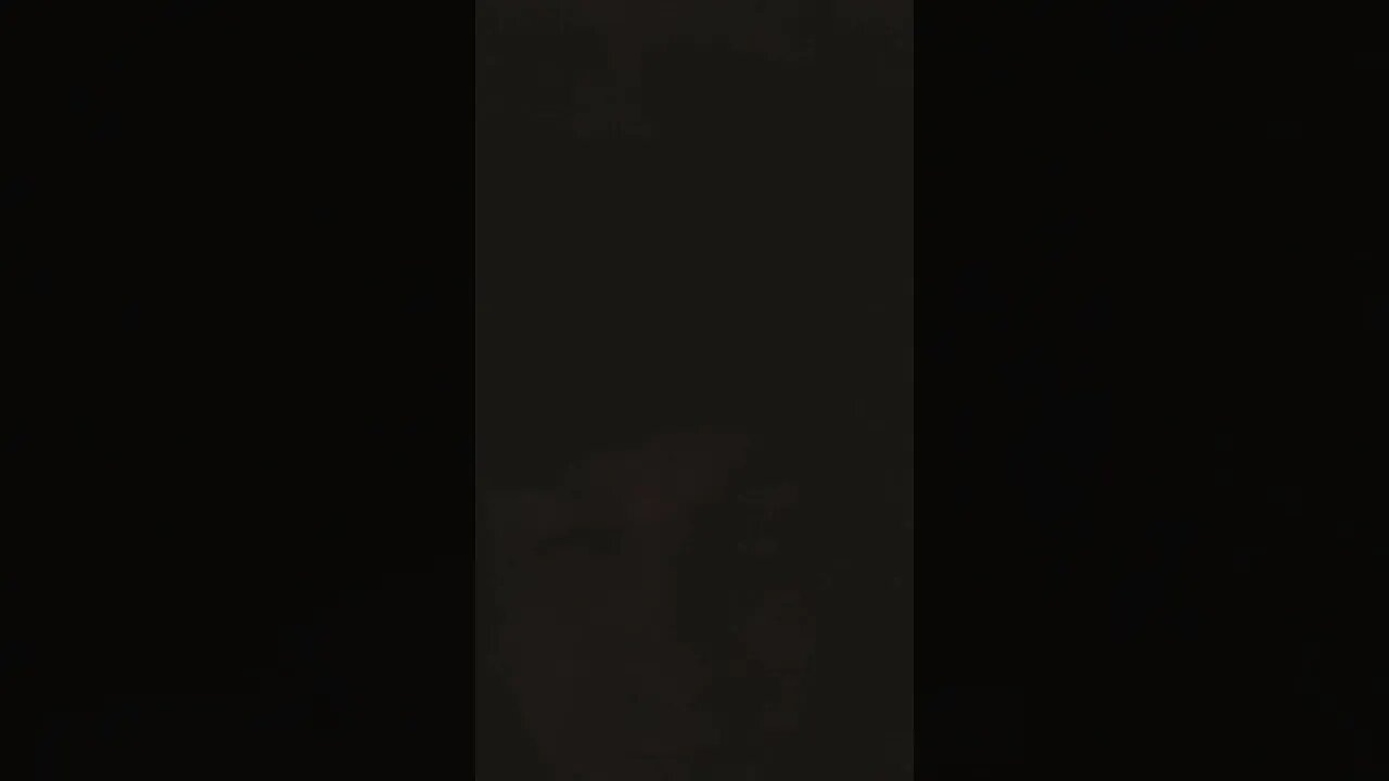 Sick Day Video #2 🤧