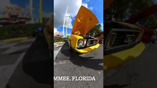 Mustangs #shorts #mustang #insta360