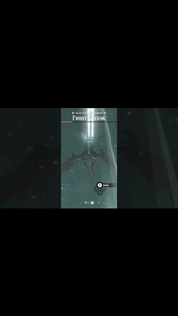 First Frost Gleeok - Zelda Tears of the Kingdom Short