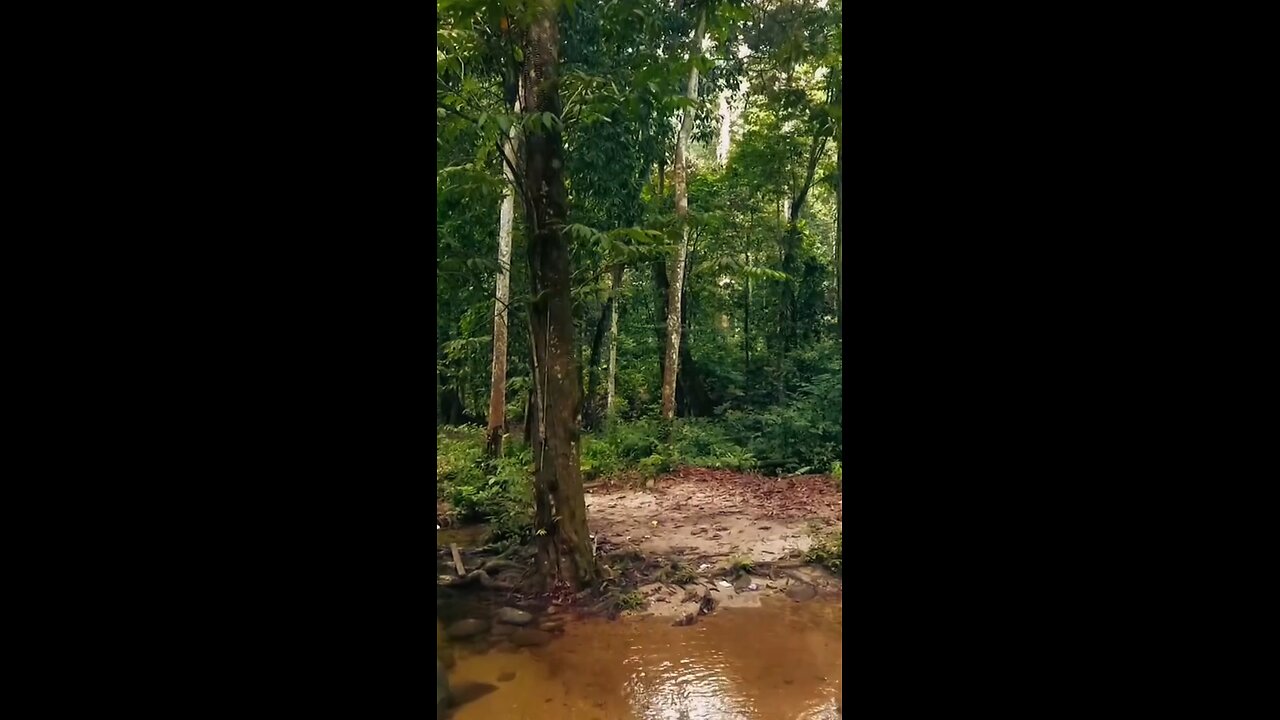 Finding Beauty in Nature