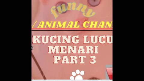 Funny cat & Kucing lucu manari