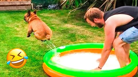 Funniest Animal Videos 2023 😅 - Best Funny Cats & Dogs Videos 🥰