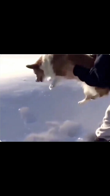 here is a 9 second experiment proving how easy a flat black screen can gaslight your emotions.