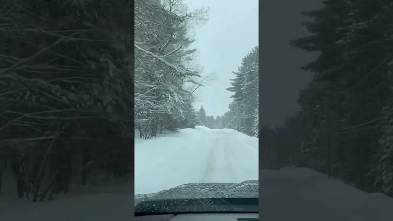 Snowy Sunday #backroads#March weather #farmlands#evergreens#rurallife