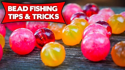 Bead Fishing BASICS For TROUT & STEELHEAD.