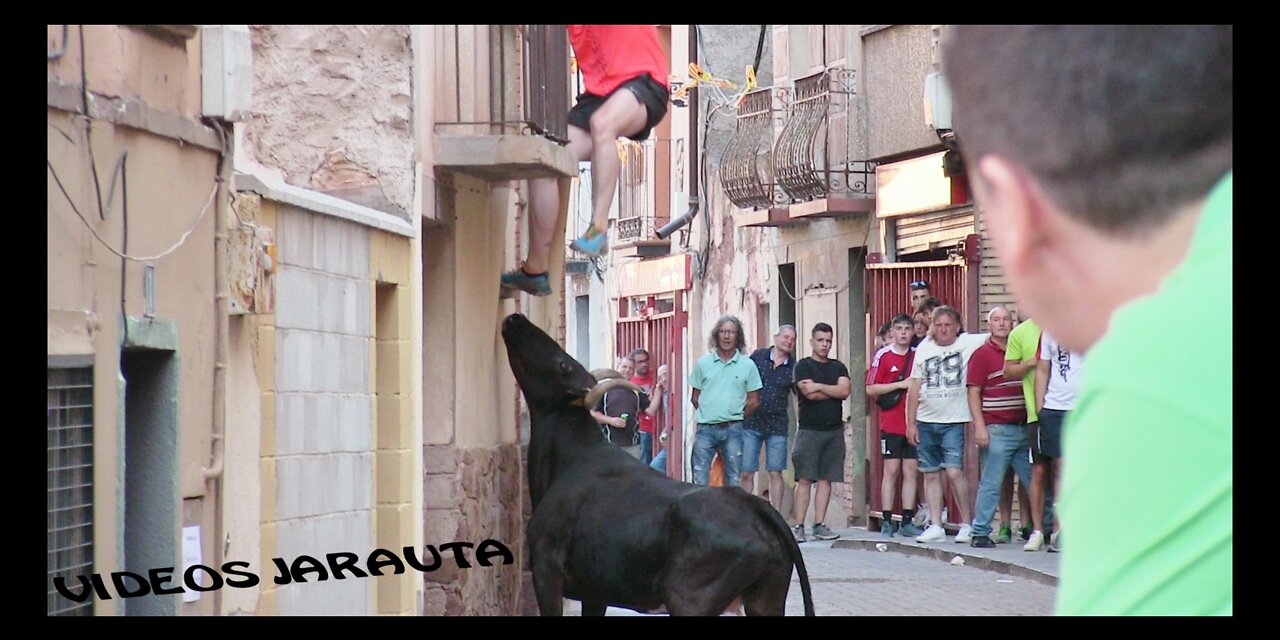 ILLUECA ( ZARAGOZA ) TARDE VACAS PLAZA ( DOMINGO 26 JUNIO 2022 ) RAUL IZQUIERDO