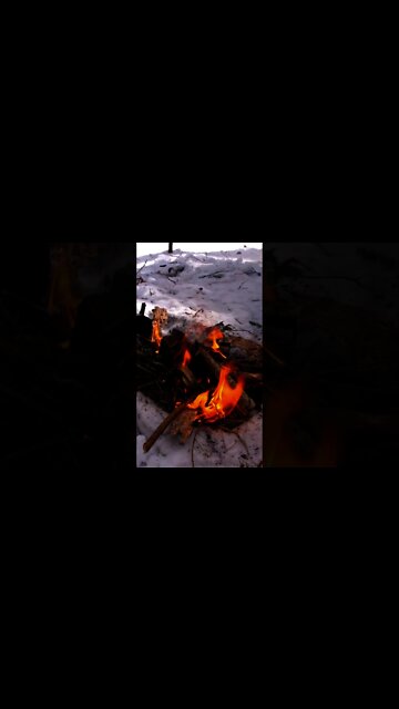 Winter Solo Camping. Overnight Bushcraft Tarp Shelter in Upstate New York. #shorts