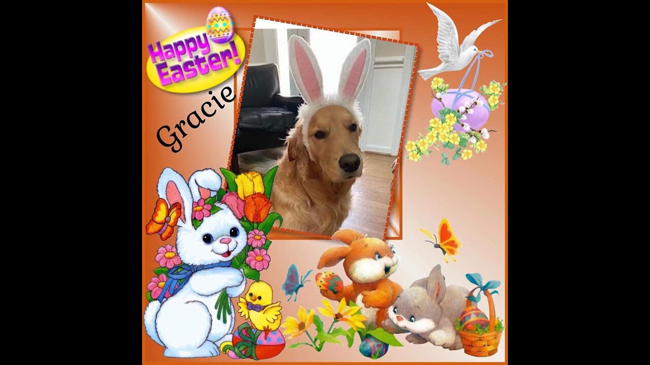 Golden Retrievers: Hearts of Gold - Easter/Passover 2022