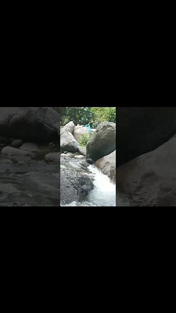 Waterfall River in the Jungle in Philippines #Waterfall #jungle #shorts #Philippines