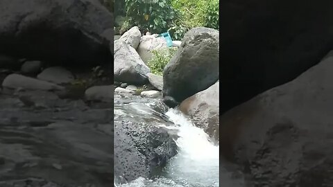 Waterfall River in the Jungle in Philippines #Waterfall #jungle #shorts #Philippines