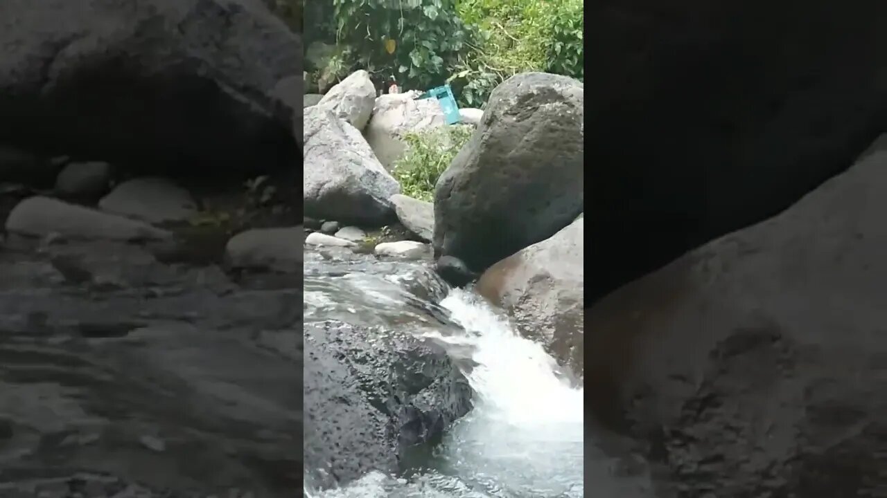Waterfall River in the Jungle in Philippines #Waterfall #jungle #shorts #Philippines
