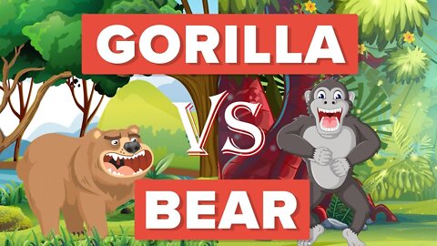 Gorilla vs Bear - Who Would Win - Animal Comparison