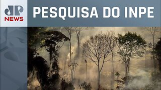 Alertas de desmatamento na Amazônia caem quase 68%