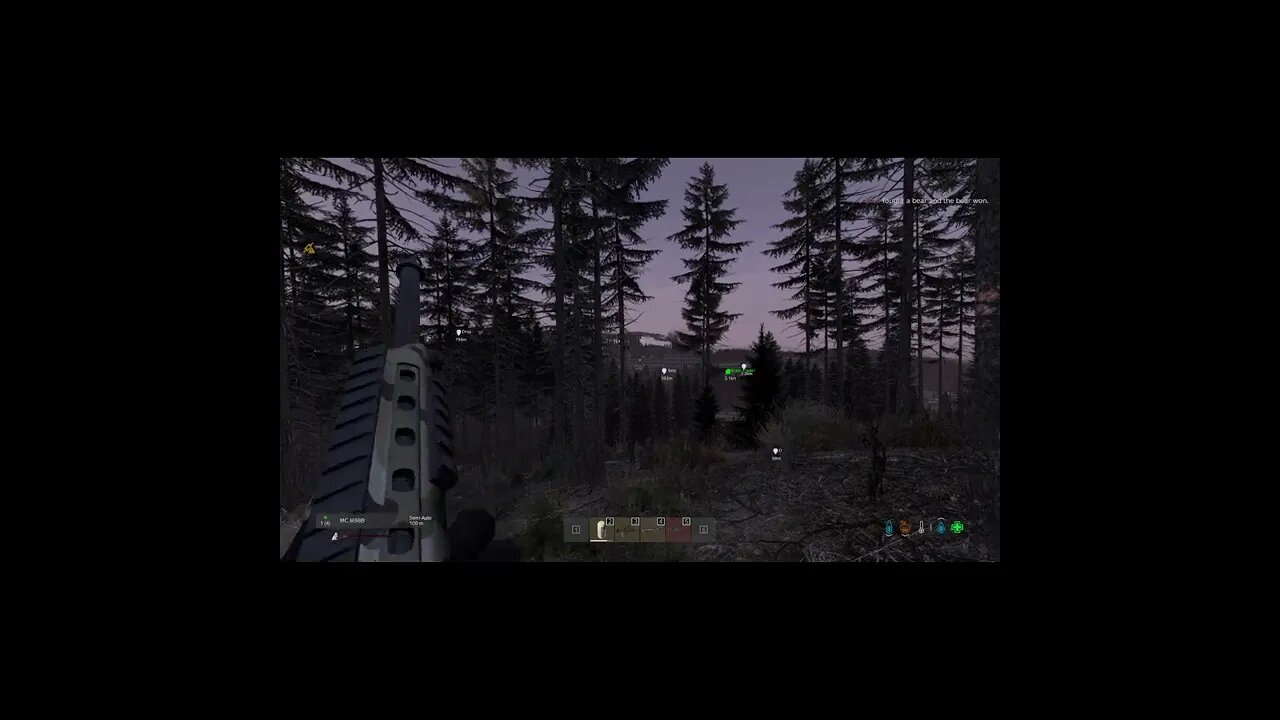 Bear Attack - DayZ #Shorts