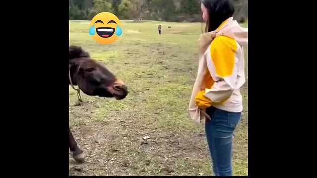 ANIMAL VS GIRLS REACTIONS, FUNNY, VIDEOS