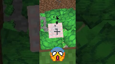 BLOWING UP TURTLES FOR NO REASON❗❗❗