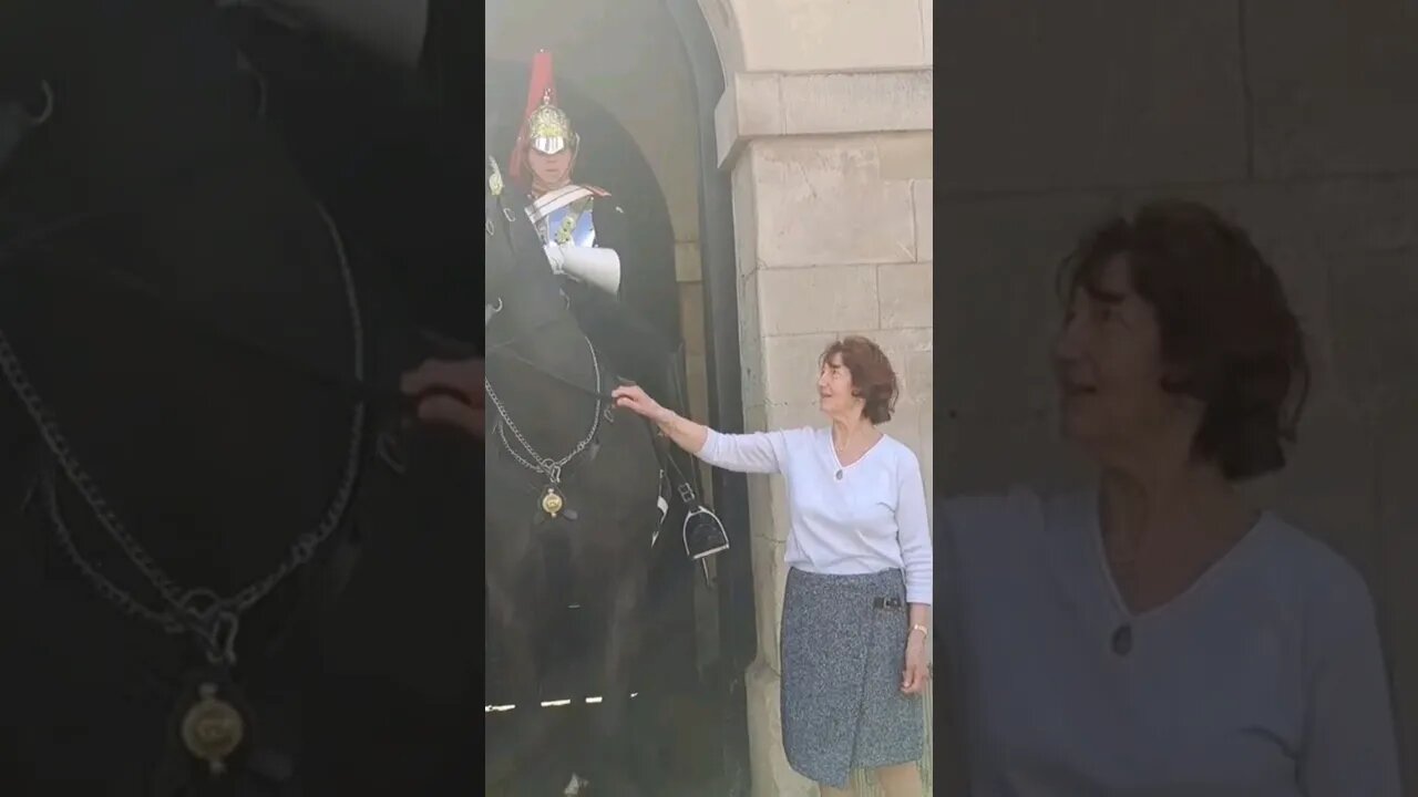 Don't hold the reins #horseguardsparade