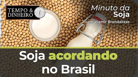 Soja acordando no Brasil