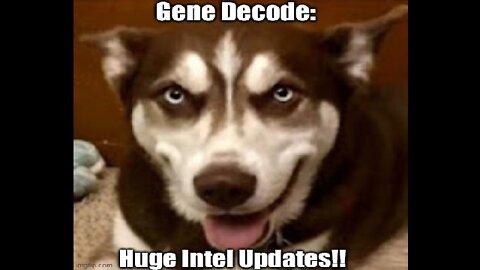 Gene Decode: Huge Intel Updates!! (Must See Video!)