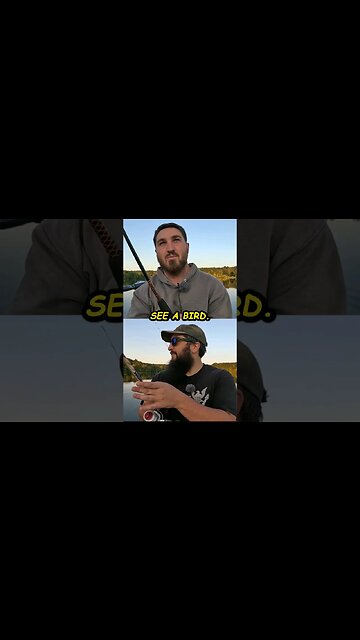 VERY RARE BIRD SIGHTING... 🦅 #comedy #bassfishing #fishing