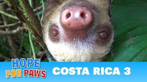 Private vacation turns to be a rescue mission in Costa Rica.