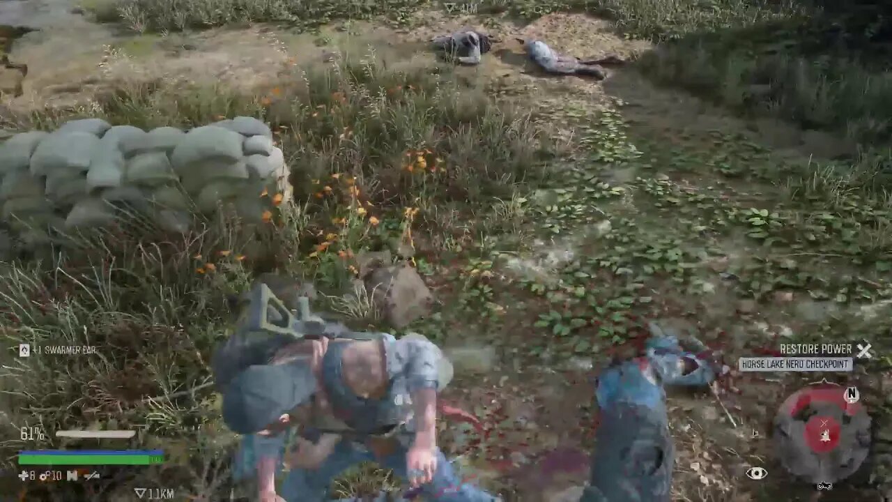 Days Gone