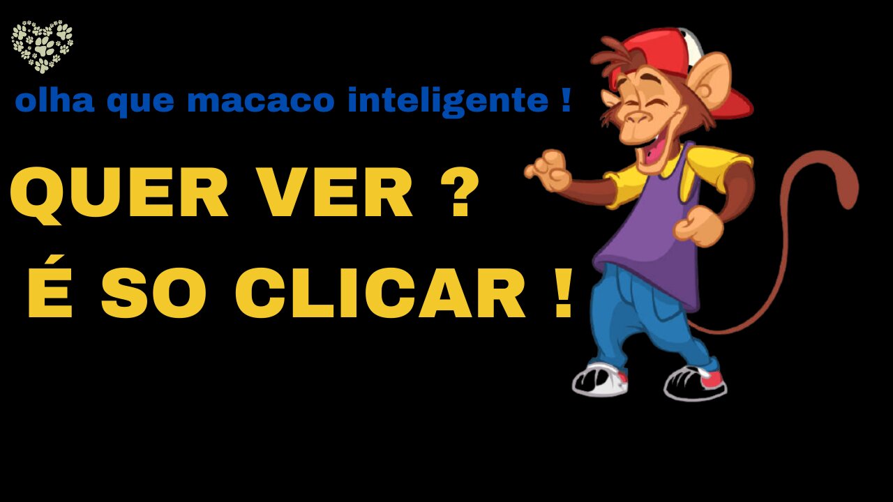 MACACO INTELIGENTE