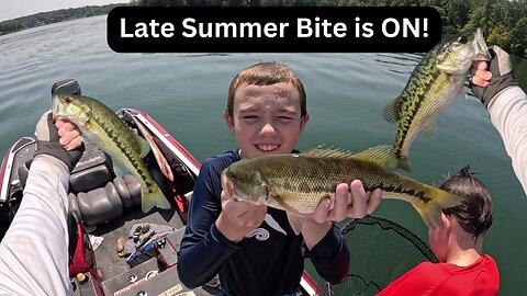 Late Summer Bite is ON!