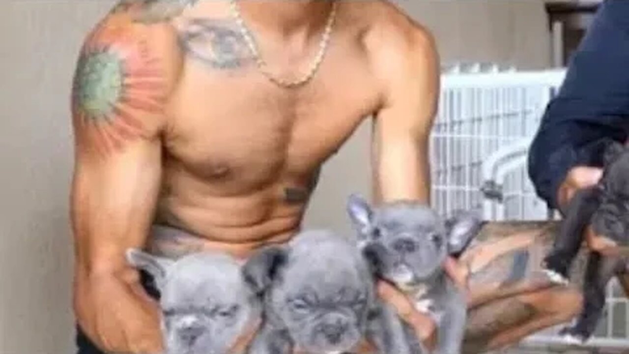 WAWG Kennels Dog Breeder Or Dog Abuser ? @supersayianjim
