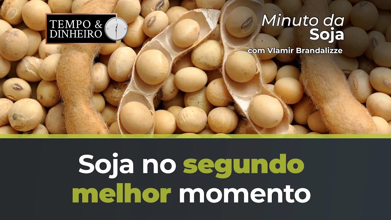 Soja no segundo melhor momento desde a colheita