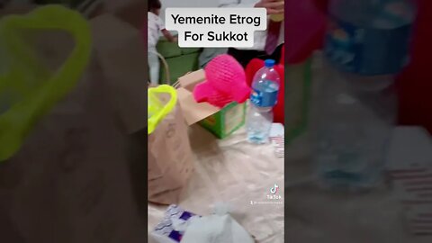 Yeminite Etrog for Sukkot